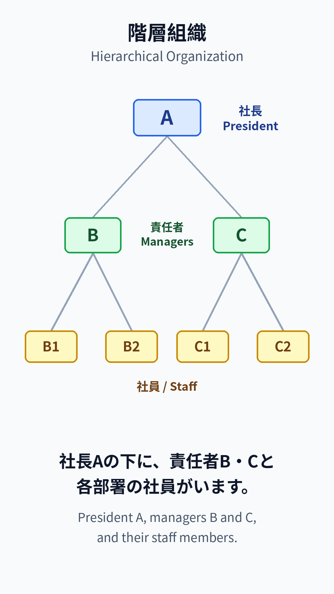 階層組織 / Hierarchical Organization